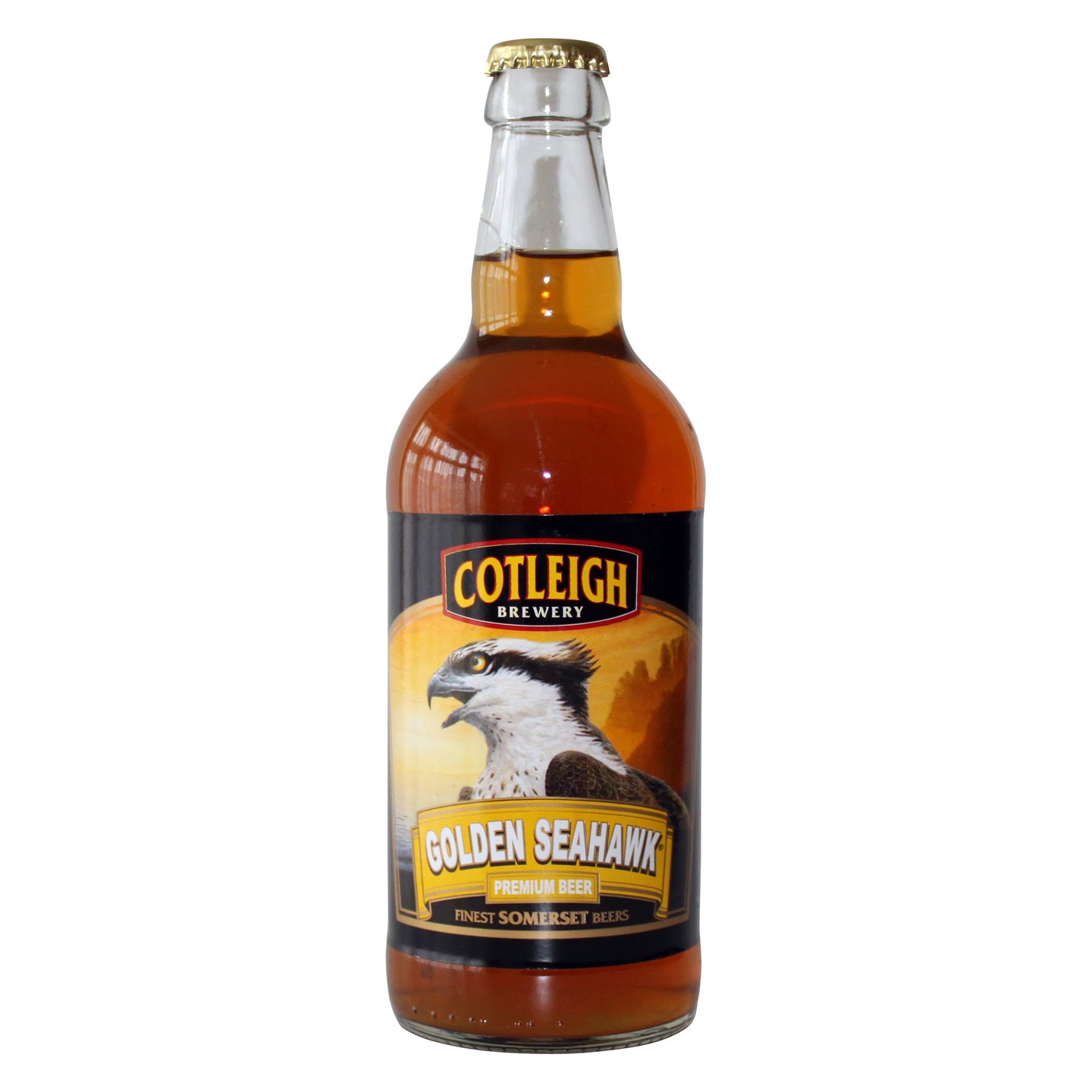 Cotleigh Golden Seahawk 500ml 4.2% 