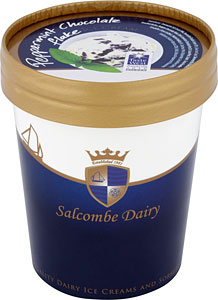 Salcombe Chocolate Ice Cream 500ml