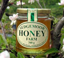 340g Sedgemoor Runny Honey 340g